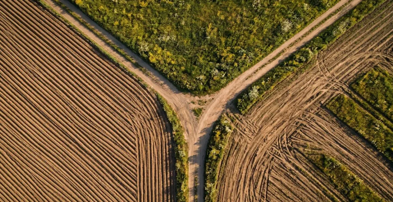 Vue aérienne de trois chemins agricoles divergeant en Y traversant respectivement un champ labouré, une prairie fleurie et un terrain avec traces d'engins, sous lumière matinale